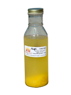 Mango Water Kefir