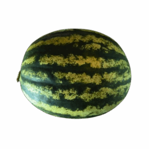 Home Grown Sweet Crimson Watermelon