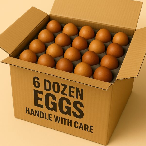6 Dozen Eggs Bundle - GMO:Corn:Soy Free Pastured Eggs.png